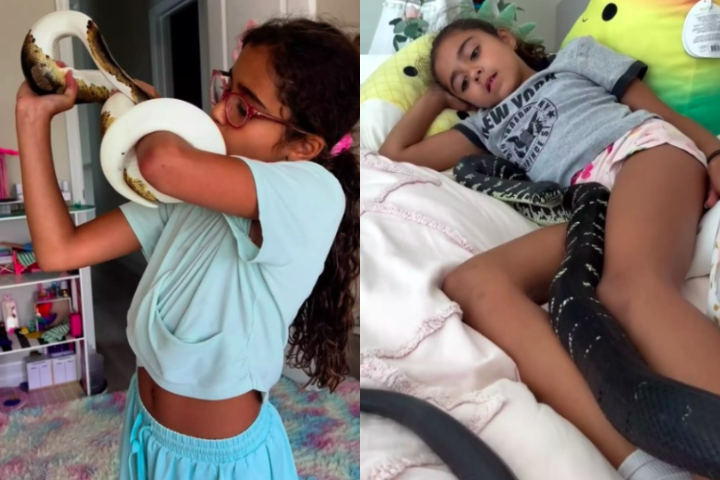 Atualmente, Ariana, de 10 anos, convive com 20 pítons em seu quarto. Seu irmão, Maximus, é responsável por outras duas. As pessoas acreditam que todas as cobras são agressivas, mas a maioria prefere evitar contato, disse Christoforou.