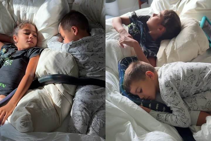 De acordo com informações do Daily Mail, seus dois filhos pequenos chegam a dormir com algumas das cobras na cama!