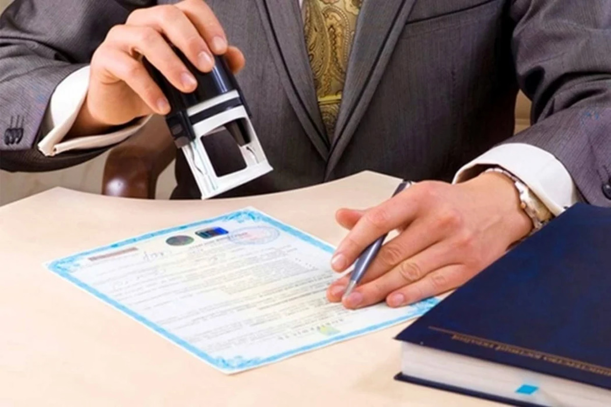 A origem de “Silva” vem do latim silva, que significa “selva” ou “floresta”. 