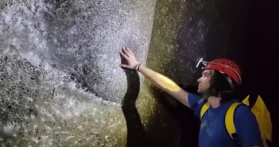 Segundo os pesquisadores, mais de 111 mil indivíduos das espécies Tegenaria domestica e Prinerigone vagans compartilham uma teia em formato de funil que cobre cerca de 106 metros quadrados.