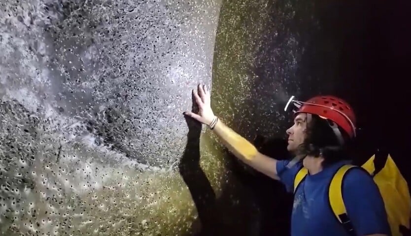 Um estudo publicado na revista Subterranean Biology em 2024 descreve a descoberta de uma enorme colônia de aranhas na Caverna do Enxofre, na divisa entre Albânia e Grécia.