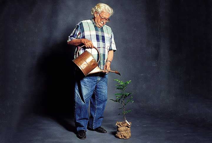 Nascido em São Paulo, Burle Marx foi filho de Wilhelm Marx, judeu alemão comerciante de couro, e de Cecília Burle, pernambucana, descendente de franceses. 