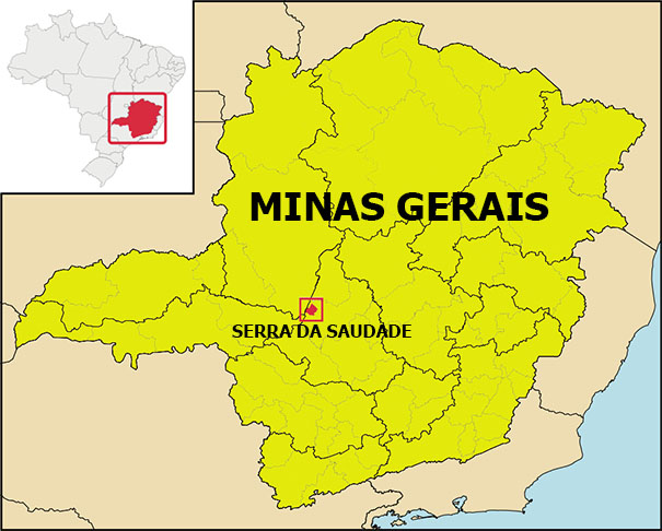 A distância para a capital Belo Horizonte é de 270km. A cidade conta com uma Escola Municipal, um posto de saúde, um parque de exposições de eventos, uma creche, uma praça de esportes, um ginásio poliesportivo, e disponibiliza gratuitamente internet Wi-Fi em praças de lazer.