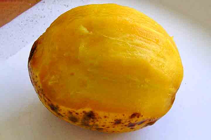 No Brasil, além de cajá-manga, a fruta também é conhecida por outros nomes, como cajarana, taperebá-do-sertão, e até mesmo simplesmente cajá em algumas regiões.