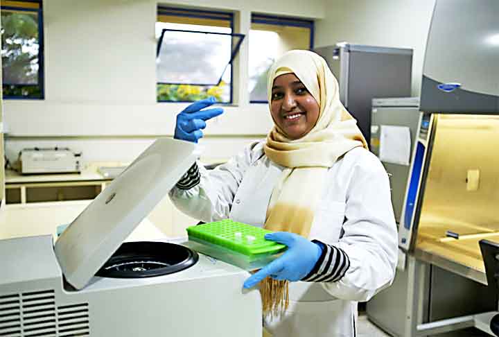 Ainda de acordo com os cientistas, os insetos podem estar comendo o poliestireno porque ele é composto principalmente de carbono e hidrogênio, uma fonte de energia. 