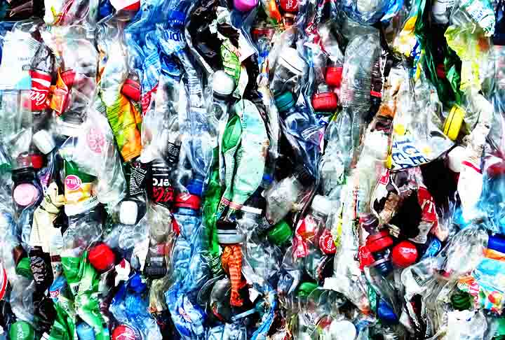 Isso pode significar que a larva-da-farinha pode não ter naturalmente a capacidade de comer o material. Mas sim as bactérias que desempenham tal papel. Elas podem ser encontradas em galpões de criação de aves, que são quentes e podem oferecer um suprimento constante de alimentos.