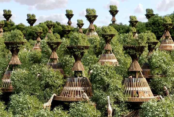 BAOBAB Luxury Safari Resort, África do Sul: Localizado no Parque Nacional Kruger, na África do Sul, esse resort é composto por um aglomerado de alojamentos de madeira e faia, que são inspirados na forma do baobá, uma árvore nativa do continente africano.