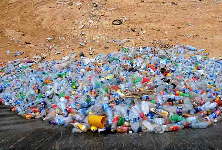 Isso porque o plástico degrada-se em partículas menores, que são ingeridas por peixes e outros animais e aves marinhas. Essas espécies não têm capacidade de ingerir tal resíduo, que pode acarretar em mortes.