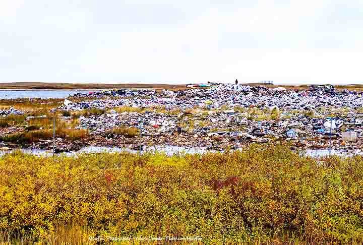 Assim o ritmo de reciclagem não acompanha a produção. As sacolas plásticas de supermercado são úteis, porém podem causar estragos ao meio ambiente. 