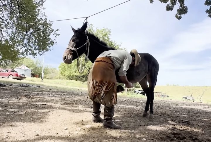 Pedro documenta a viagem nas redes sociais, mostrando paisagens, cidades, encontros com moradores locais e os cuidados constantes com as mulas.