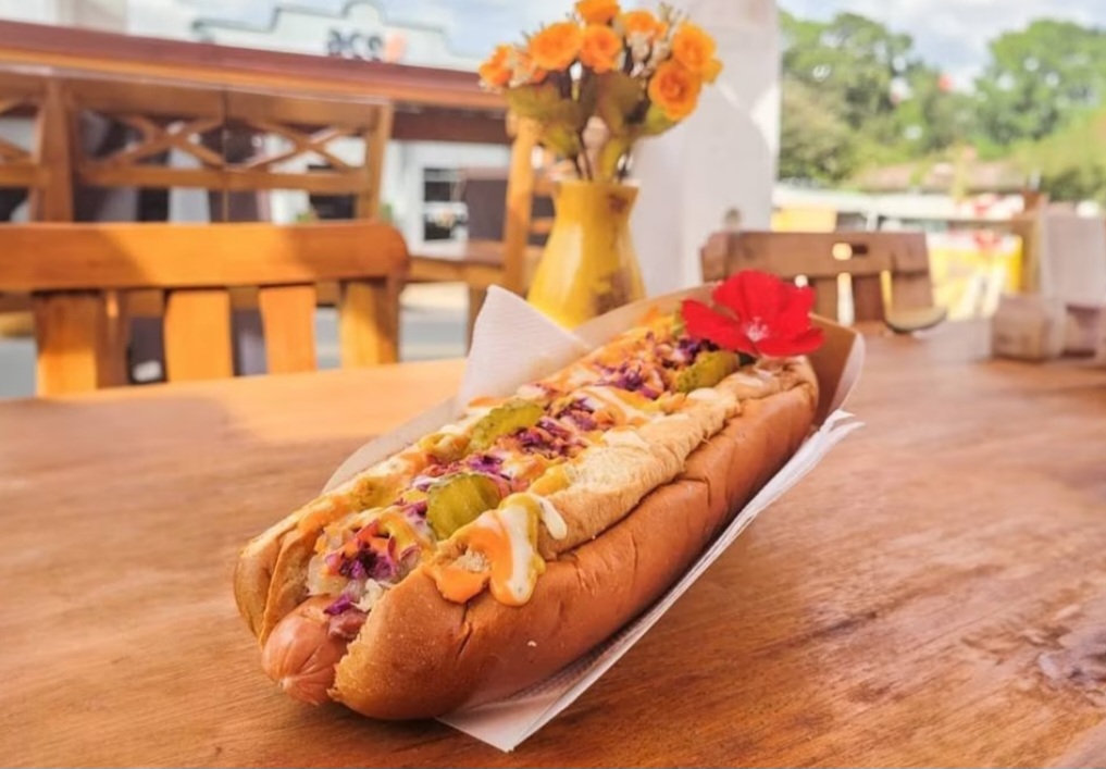 Quem vai Holambra, cidade que é referência na produção de flores no Brasil, tem uma opção gastronômica que chama atenção nas redes sociais: o cachorro-quente de 23cm que leva flores comestíveis . O FLIPAR mostrou e republica para quem não viu. 