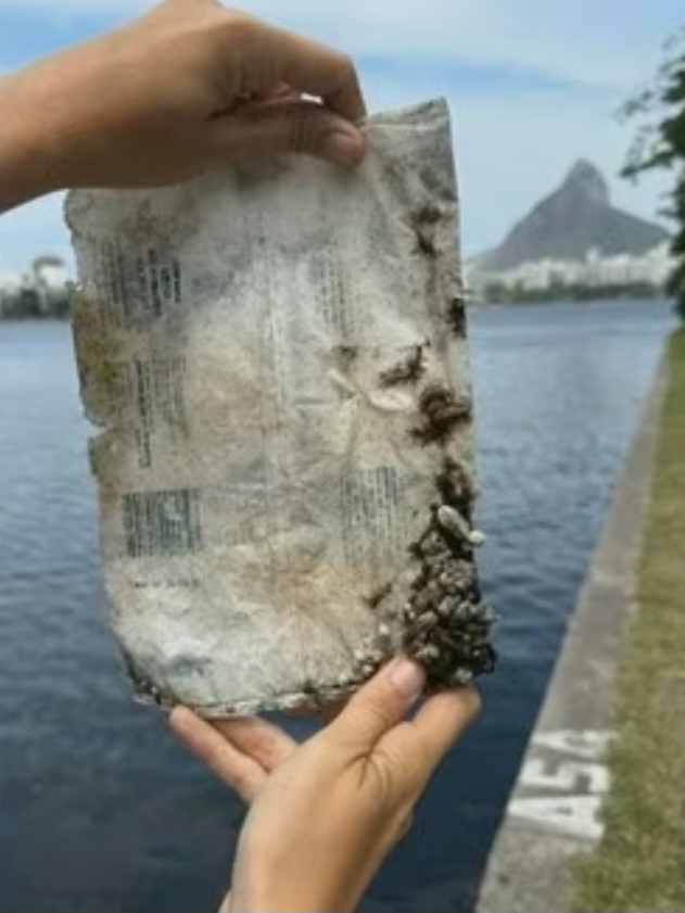 A Lagoa, que já sofreu com altos níveis de poluição, hoje passa por recuperação, com sistemas que tratam milhões de litros de dejetos por dia.
