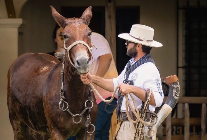“Quero promover a cultura dos peões de boiadeiro, pelo mundo dos muares, usados desde os tropeiros antigamente. Quero escrever livros para os meus filhos e netos, usar a minha memória”, declarou o berranteiro. 