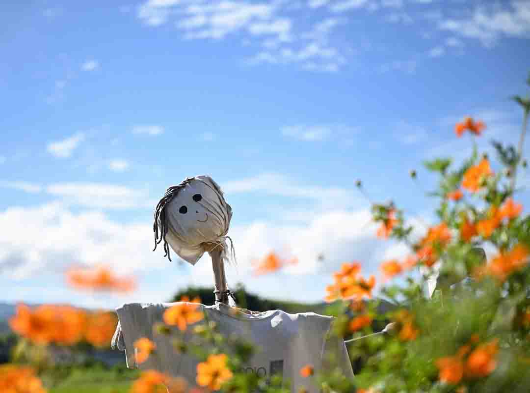 No mesmo período, no Japão havia os kakashis, que eram vestidos com capas de chuva e chapéus de palha. Atualmente, é possível encontrar espantalhos em plantações de arroz no país asiático 

