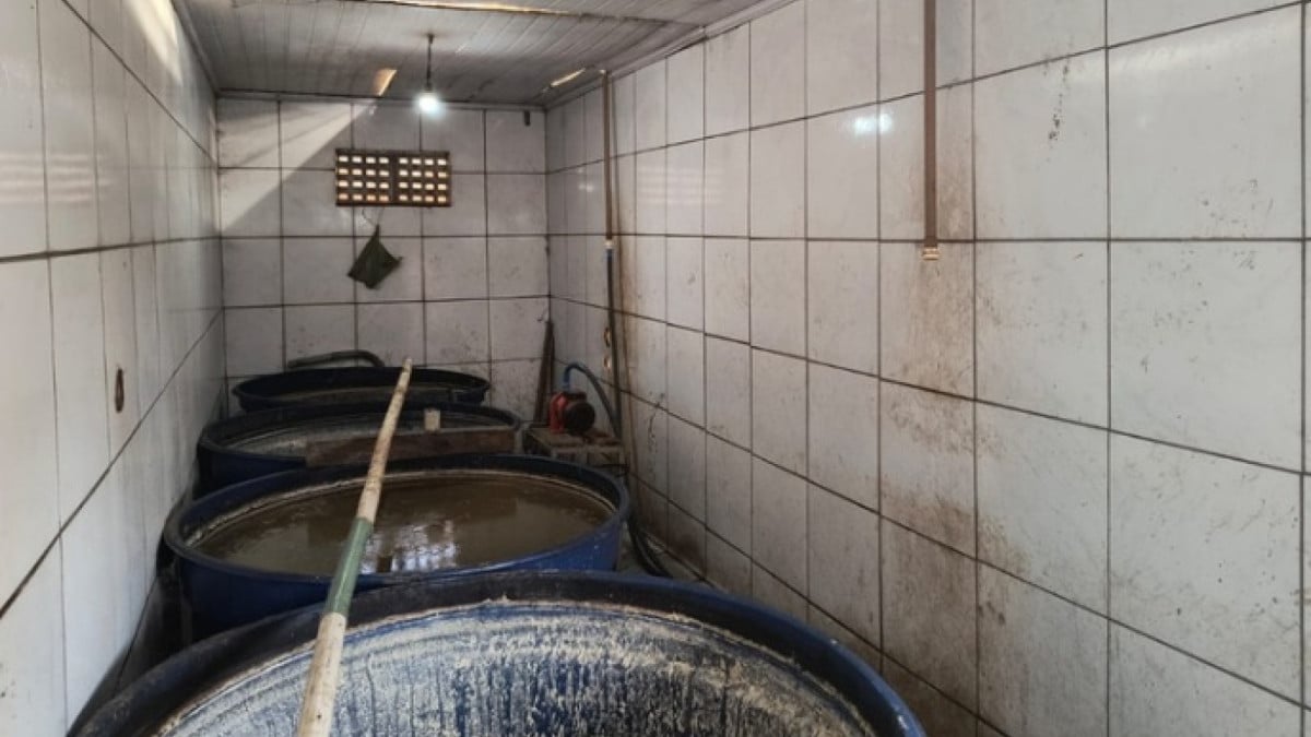 As bebidas apreendidas foram produzidas em estabelecimentos sem registro ou em condições sanitárias inadequadas. 