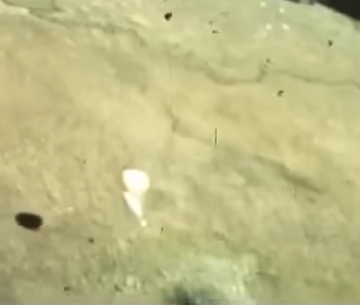 O uso dos paraquedas para soltar os castores era para garantir que eles caíssem de uma altura segura e pudessem se adaptar ao novo lugar sem se machucar.