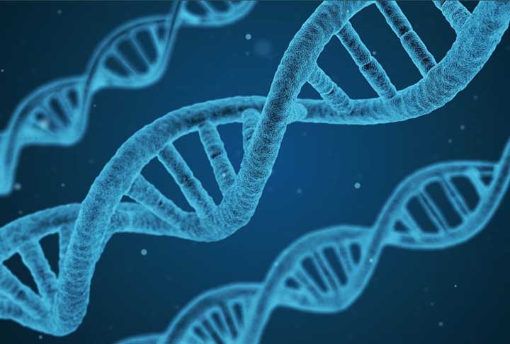 Menos descendentes significam menos oportunidades de transmitir genes adiante. No entanto, há outra forma de garantir o sucesso evolutivo: em vez de ter muitos filhotes, uma fêmea pode investir mais energia e tempo nos cuidados com poucos deles, aumentando a probabilidade de que sobrevivam e também se reproduzam.
