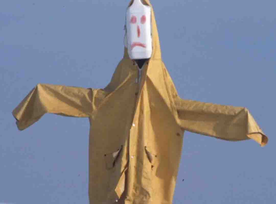 O fotógrafo britânico Colin Garrat tem registros de espantalhos colocados em diversas áreas do interior do Reino Unido para espantar predadores nas plantações. As imagens foram expostas à época da elaboração (2016) em uma mostra londrina.
E ficaram para a posteridade.
