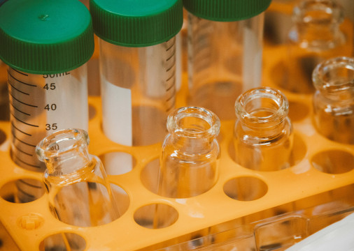 Com 73.220 publicações, o crescimento é visto como um sinal positivo pelo relatório da Bori-Elsevier