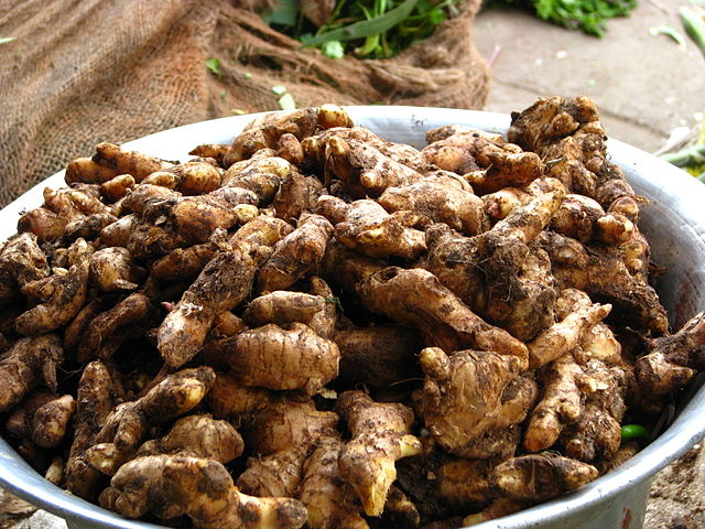 A relação entre o gengibre e o câncer tem sido alvo de pesquisas. Alguns estudos indicam que os compostos bioativos dessa raiz podem ajudar a combater o estresse oxidativo e a inflamação, dois fatores que contribuem para o desenvolvimento de tumores.