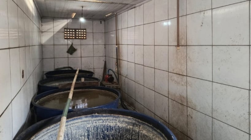 As bebidas apreendidas foram produzidas em estabelecimentos sem registro ou em condições sanitárias inadequadas.  