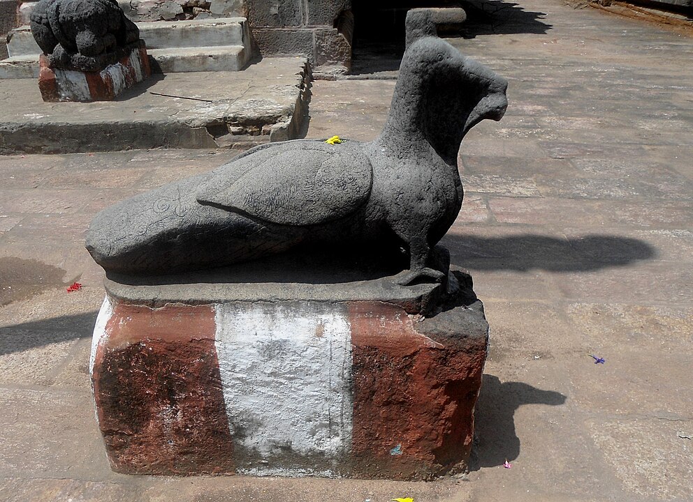 O pavão também aparece em escultura no Complexo do templo Golingeshwara em Biccavolu, também na Índia.