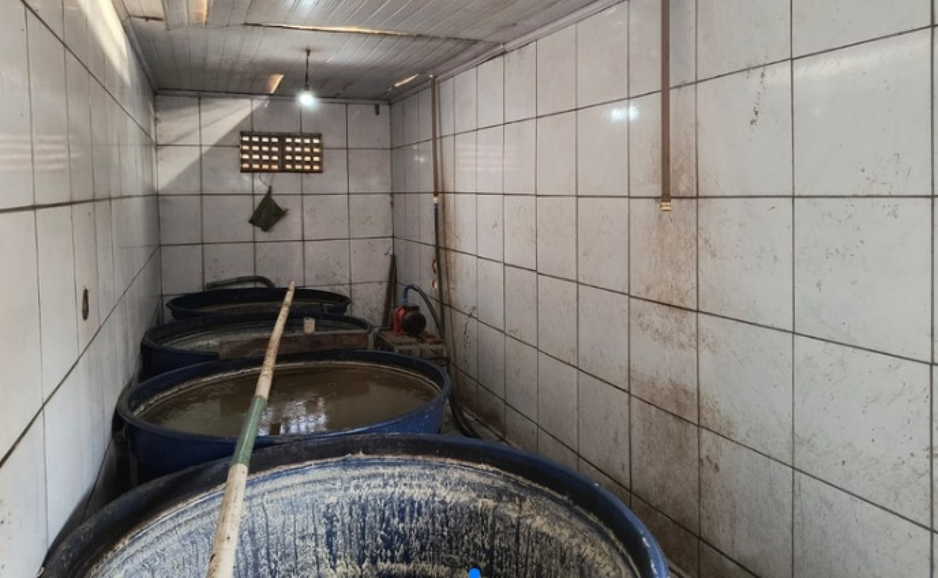 As bebidas apreendidas foram produzidas em estabelecimentos sem registro ou em condições sanitárias inadequadas.  (Foto: Reprodução/ Mapa)