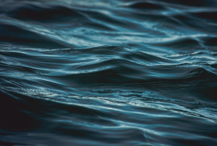 Durante um mergulho nas Filipinas, o historiador Andy McConnell, de 73 anos, interagiu com um dos seres mais letais do oceano sem ter consciência do risco.