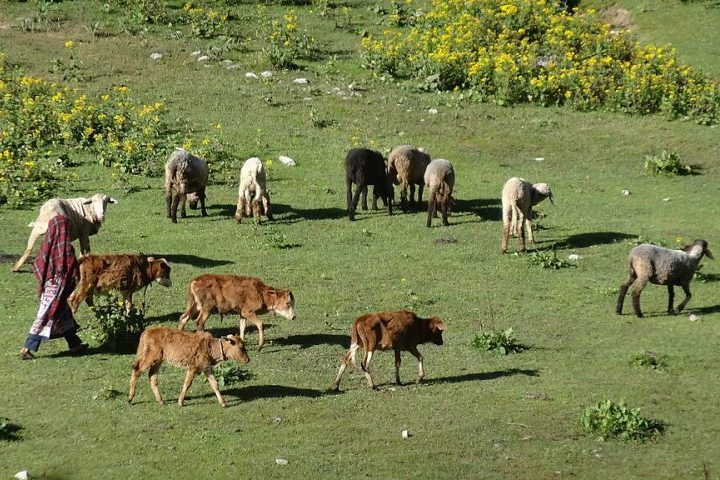 São comunidades rurais que vivem de agricultura, pecuária e, em menor escala, comércio local.