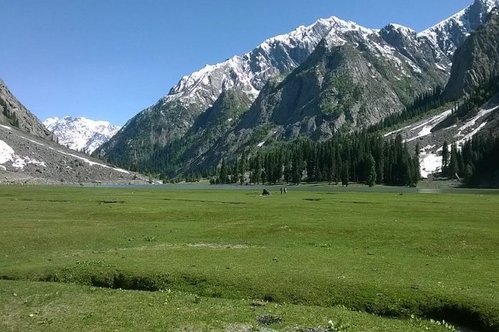 As colinas abaixo das montanhas de Kohistan são geralmente cobertas por florestas e vegetação rasteira.