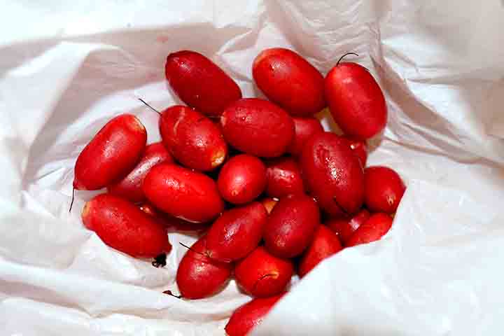 Assim, a miraculina foi isolada pela primeira vez em 1968 pelo pesquisador japonês Kenzo Kurihara. A partir disso, diversos estudos foram conduzidos para entender sua estrutura e propriedades.