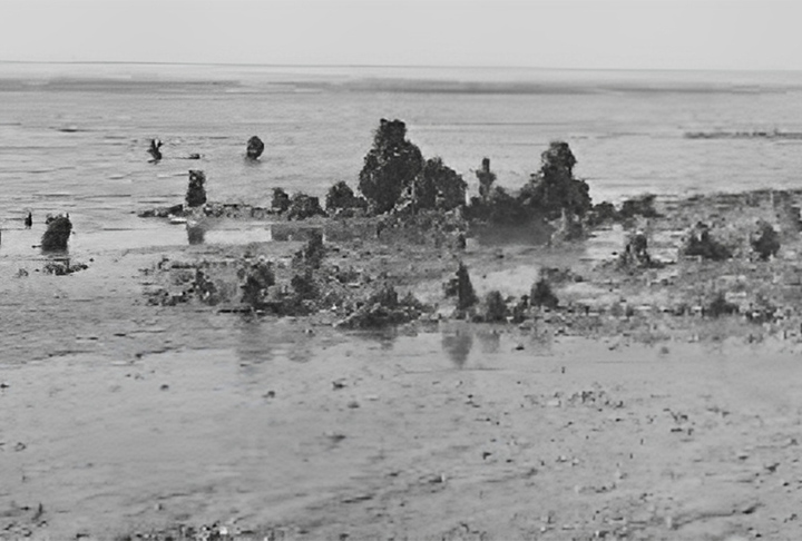 Agora, ruínas de Rungholt foram descobertas a partir de análises geofísicas feitas pelos arqueólogos.