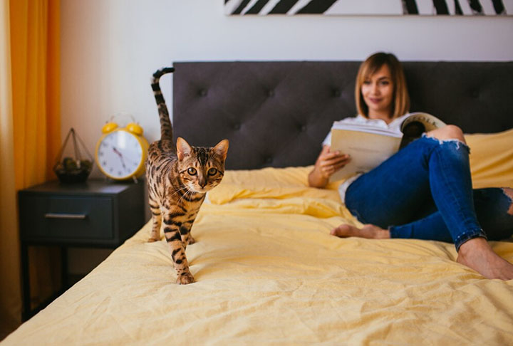 Confira agora outros animais que podem causar reação alérgica nas pessoas, seja por causa de picadas ou devido aos pelos. 