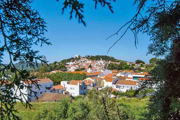 A economia do Alentejo é fortemente ligada à agricultura, à criação de animais e à floresta. É uma das regiões agrícolas mais importantes de Portugal, conhecida por seus olivais, vinhedos, plantações de cereais e criação de gado. 
