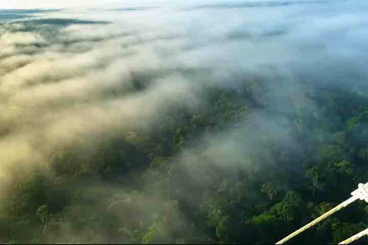 Concebido como um laboratório vertical, o ATTO foi projetado para medir, de forma contínua, gases, aerossóis, temperatura, ventos, umidade, radiação solar e uma série de variáveis que ajudam a entender como a floresta interage com a atmosfera. 
