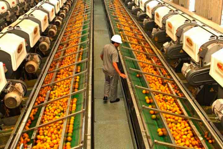 A laranja também é vantajosa para a saúde da pele. Os antioxidantes presentes nela ajudam a combater os danos causados pelos radicais livres, que podem acelerar o envelhecimento da pele, além de combater manchas, rugas e até mesmo câncer de pele.