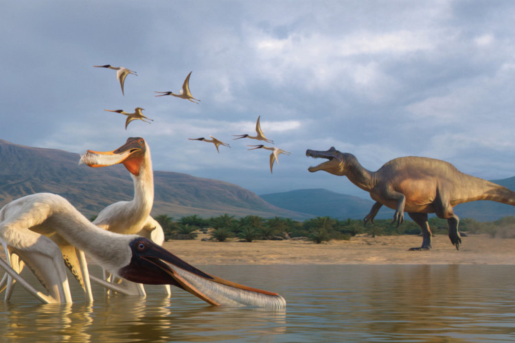 Esp&eacute;cie pr&eacute;-hist&oacute;rica foi descoberta na Bacia do Araripe 