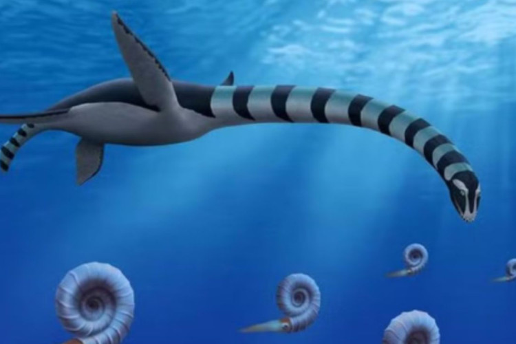 Mist&eacute;rio de monstro marinho no Canad&aacute; foi decifrado em 2025