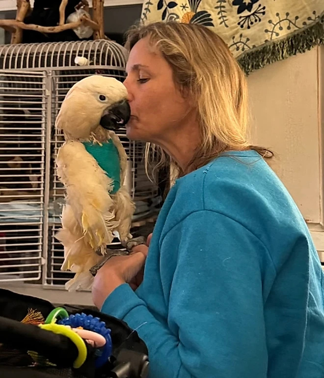 Aos poucos, Dino voltou a se animar, repetindo frases como “Sou um bom menino” e mostrando vitalidade até seus últimos dias.