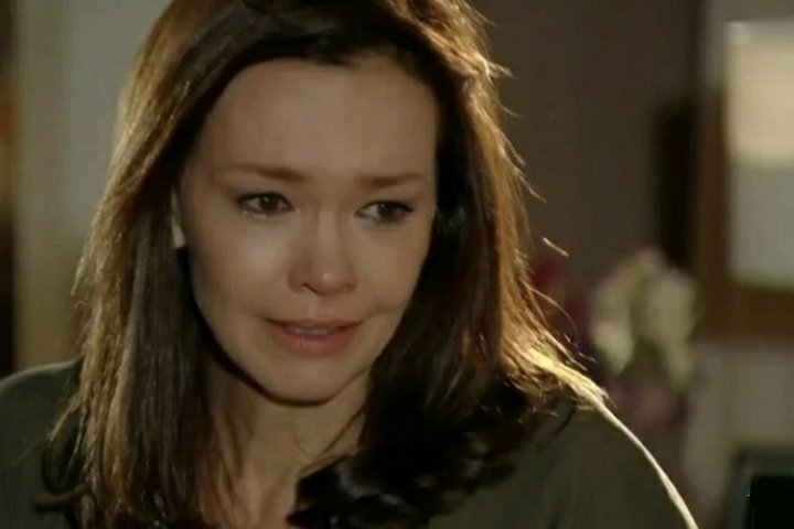 Em Em Família, de 2014, última novela do autor, Julia Lemmertz interpretou Helena fechando o ciclo que começou com sua mãe, Lílian, 33 anos antes.