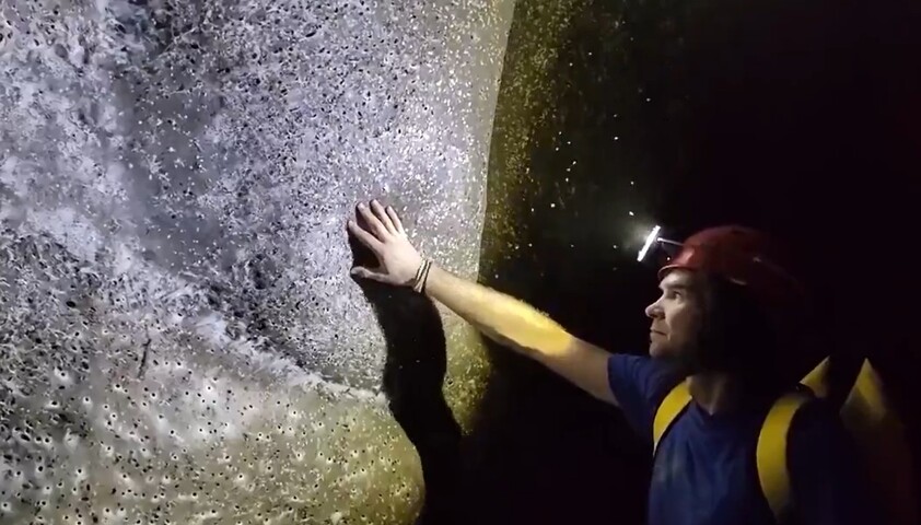 O ambiente extremo da caverna, marcado pela presença de sulfureto de hidrogênio, parece ter favorecido um comportamento cooperativo nunca antes observado em espécies consideradas solitárias. A formação da colônia foi notada em 2022 por espeleólogos.