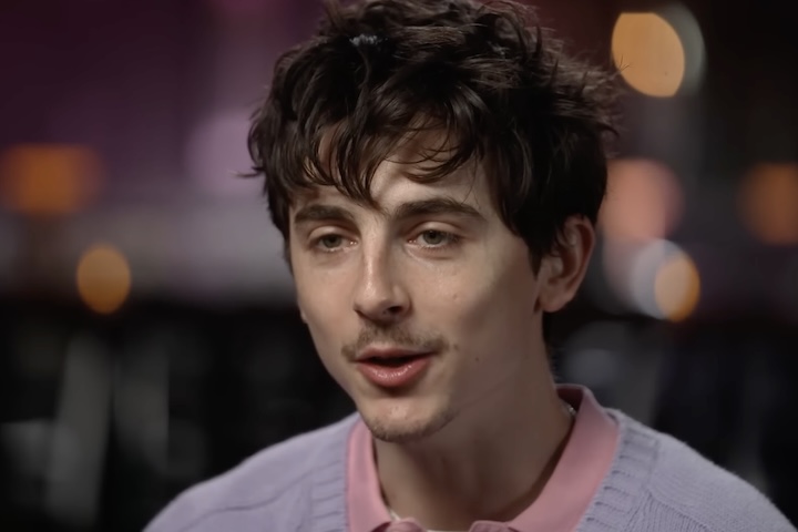 Chalamet ainda opinou sobre o chamado Movimento Sem Crianças (Childfree, em inglês) e disse que acha o pensamento desolador. 