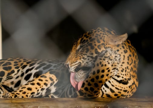 ￼REABERTURA estava prevista para julho de 2025