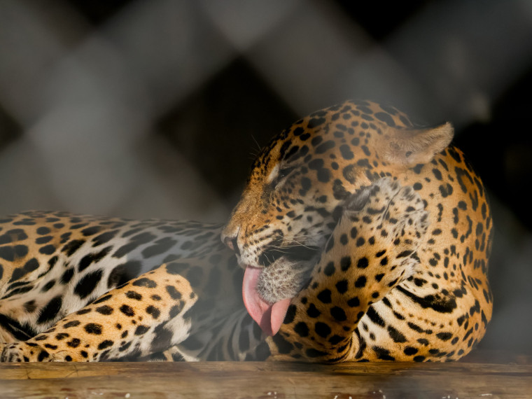 ￼REABERTURA estava prevista para julho de 2025