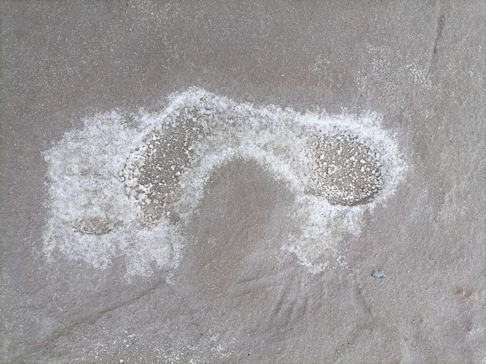 O sal proveniente do Burlinskoe é altamente valorizado por sua pureza e sabor requintado, sendo a preferência da realeza russa. 