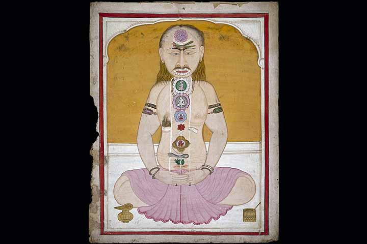 Os sete chakras ou sete centros nervosos estão conectados com diferentes glândulas do corpo – glândula tireóide, glândulas adrenal, glândula pituitária, glândula pineal, etc. 