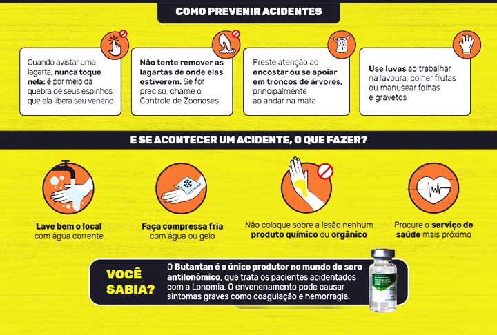 O tratamento é o recebimento a tempo do soro antilonômico e a dose depende da gravidade e é definida a partir da intensidade dos sintomas e sinais clínicos.