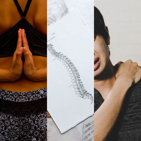 A fisioterapia tem uma importância muito grande para a saúde tanto física como mental. Auxilia no combate e na prevenção de dores. E isso melhora a parte emocional, favorecendo o equilíbrio do organismo. Veja alguns benefícios.