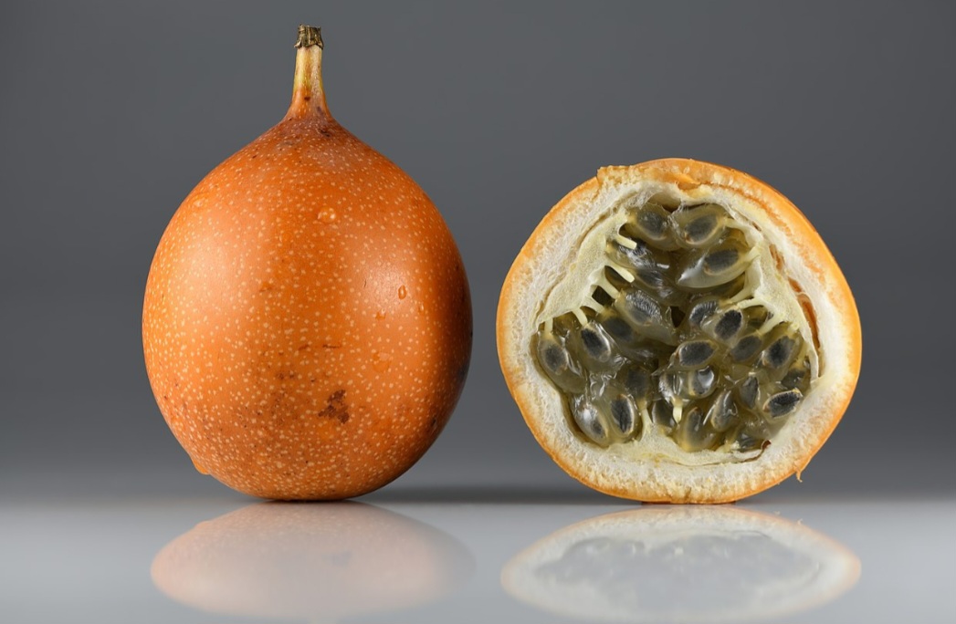 Granadilha (Passiflora ligularis) - Chamada de maracujá-doce, é nativa das regiões montanhosas da América do Sul, especialmente dos Andes, abrangendo  Colômbia, Equador, Peru, Bolívia e Venezuela.  A granadilha prefere climas tropicais de altitude, com temperaturas amenas e sem geadas,  entre 1.000 e 2.500 metros.