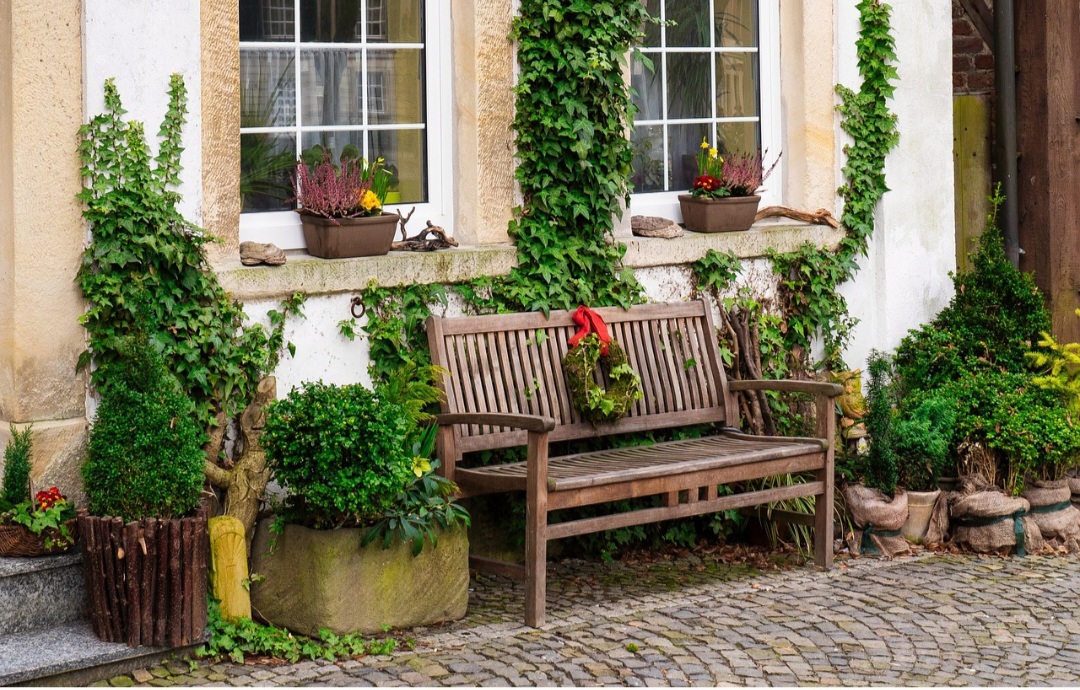 O caule da hera é flexível e permite que ele se curve e se adapte às formas da superfície, assim como a planta apresenta um crescimento contínuo.